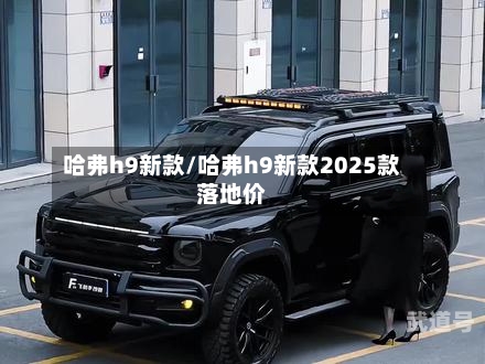 哈弗h9新款/哈弗h9新款2025款落地价