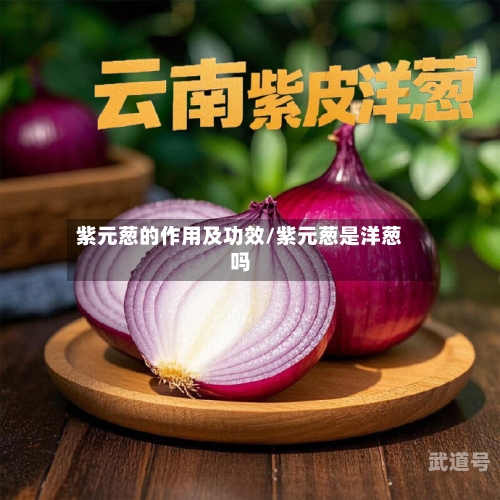 紫元葱的作用及功效/紫元葱是洋葱吗