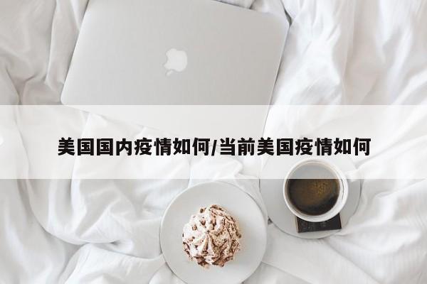 美国国内疫情如何/当前美国疫情如何