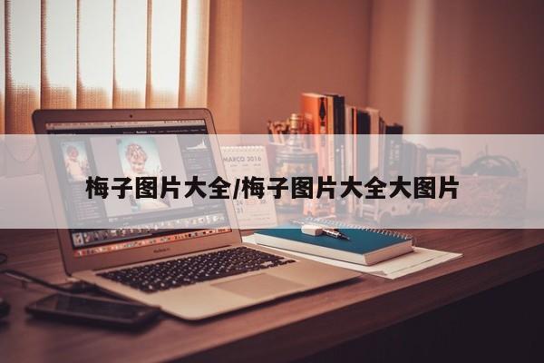 梅子图片大全/梅子图片大全大图片