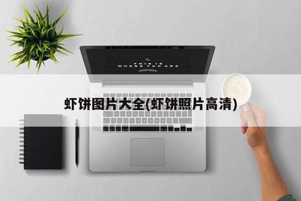 虾饼图片大全(虾饼照片高清)