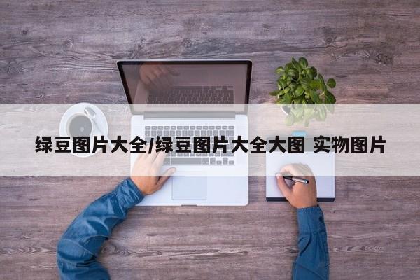 绿豆图片大全/绿豆图片大全大图 实物图片