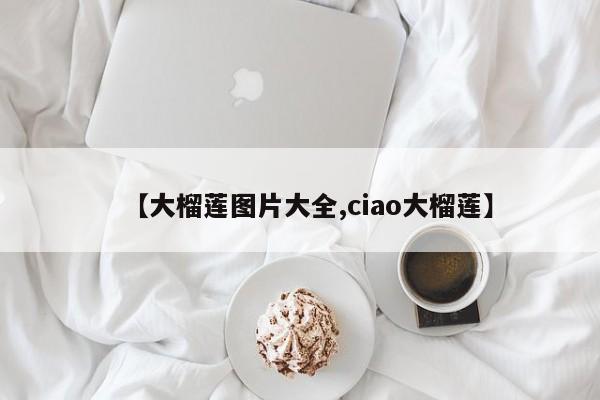 【大榴莲图片大全,ciao大榴莲】