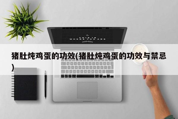 猪肚炖鸡蛋的功效(猪肚炖鸡蛋的功效与禁忌)