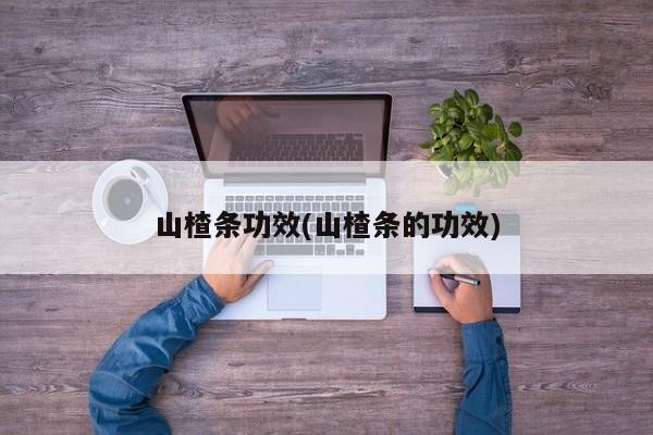 山楂条功效(山楂条的功效)