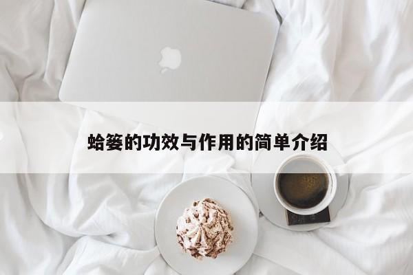 蛤篓的功效与作用的简单介绍