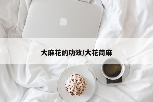 大麻花的功效/大花苘麻