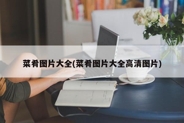 菜肴图片大全(菜肴图片大全高清图片)