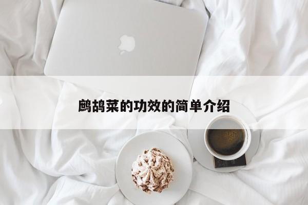 鹧鸪菜的功效的简单介绍