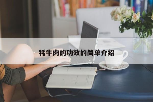 牦牛肉的功效的简单介绍